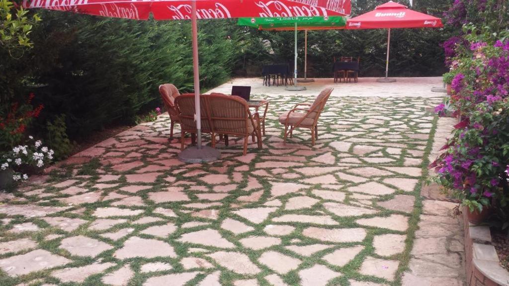Hotel Vila Danedi クサミル エクステリア 写真